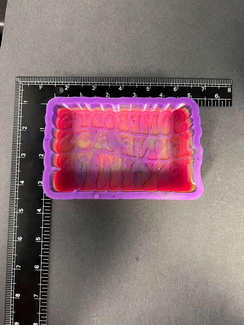 Somebody's Fine Ass ExWife Silicone Mold Freshies Etsy México