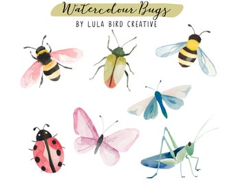 Watercolour Bugs Clipart Set - Bee clipart, Ladybird clipart, Butterfly Clipart, Grasshopper/Cricket - Commercial Use Allowed