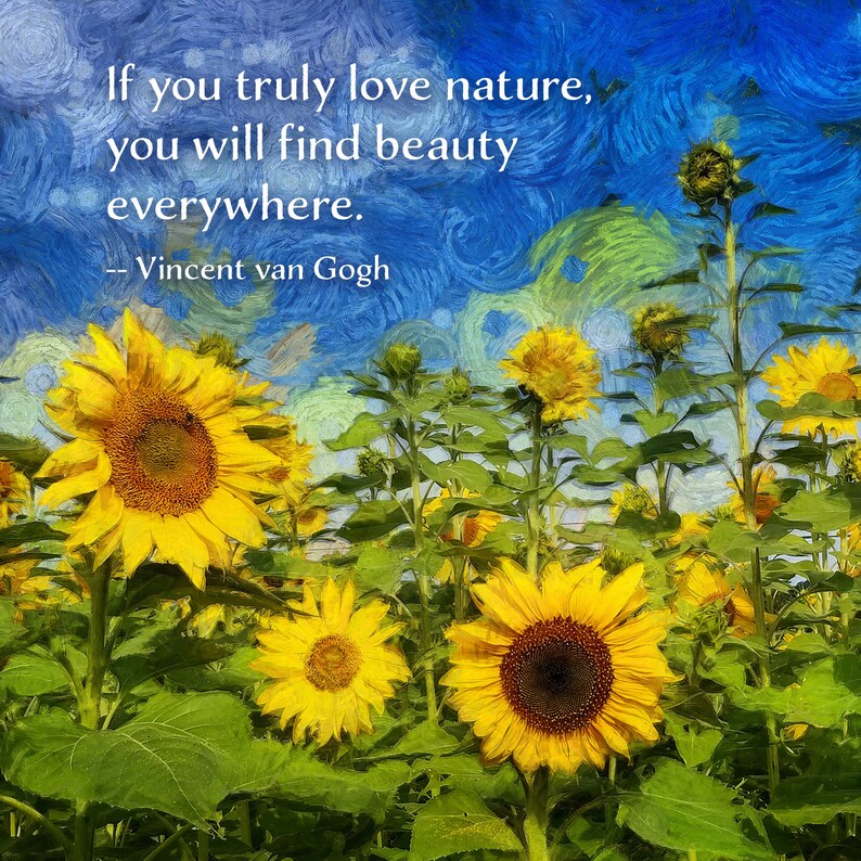 Quoteblock Vincent Van Gogh Quote With Sunflower Image Etsy