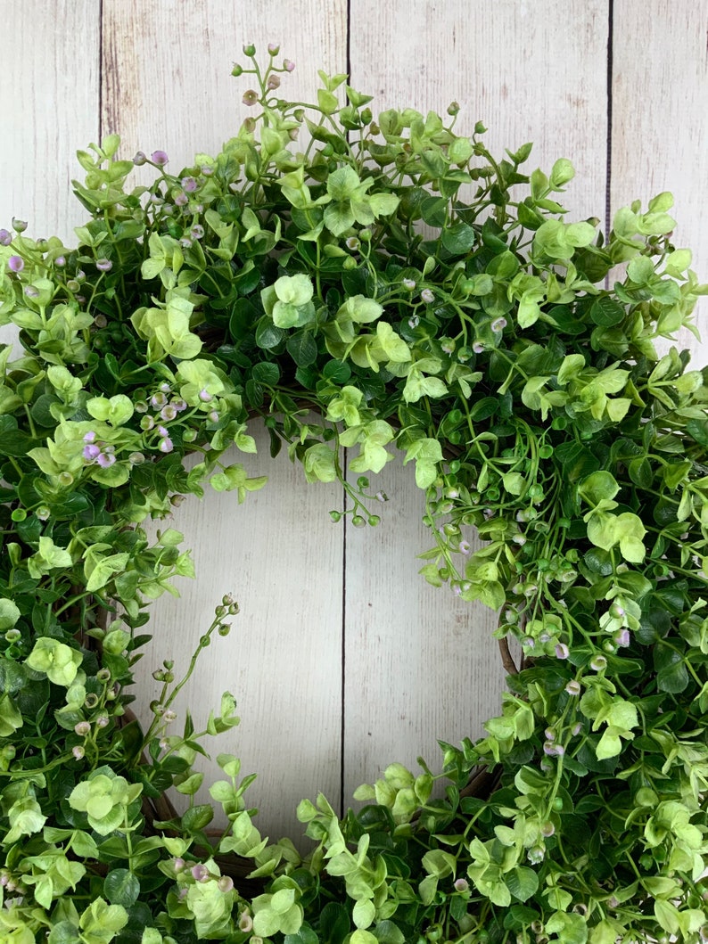 Year round eucalyptus wreath for front door, everyday door wreath, spring greenery wreath, outdoor water resistant wreath, Mothers Day gift image 6