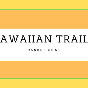 Candela profumata Hawaiian Trails Premium da 12 once