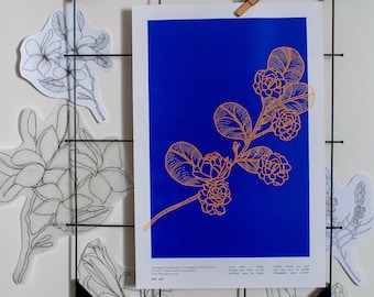 Sampaguita Floral Art Print w/ Poem