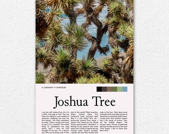 Joshua Tree Photography Print