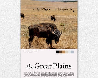 The Great Plains Bison Photography Print