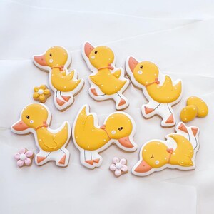 2511 Duckling Rosalie Cookie Cutter Cookie Cutter Fondant Cutter Clay Cutter Dough Cutter image 5