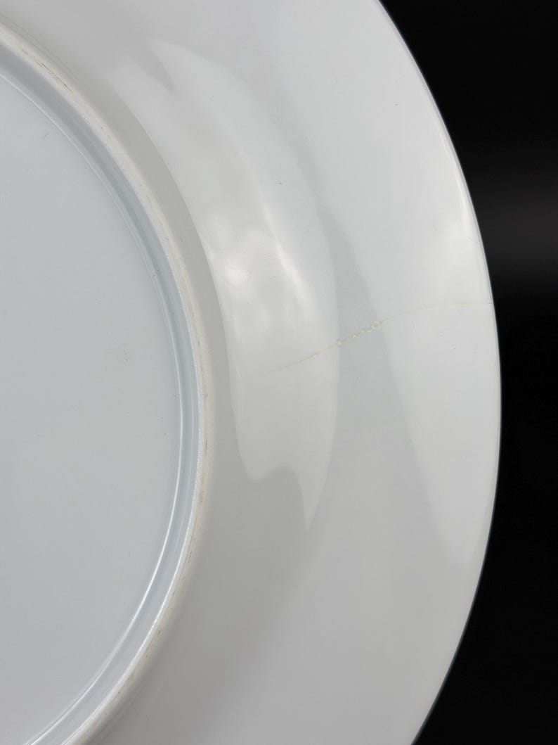 Op de afbeelding: Een witte keramische plaat met een glanzende afwerking. De plaat heeft een licht verhoogde rand en een glad, reflecterend oppervlak. Een dunne, lichtgekleurde kras is zichtbaar op het oppervlak van de plaat. De plaat staat tegen een zwarte achtergrond.
