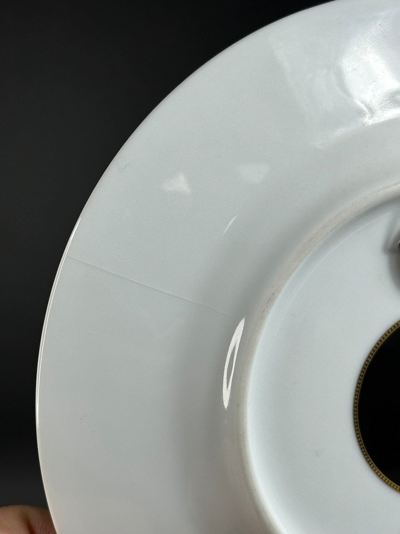 Puede incluir: Primer plano de un plato de cer&aacute;mica blanca con borde dorado y centro negro. El plato tiene un acabado brillante y se puede ver una ligera grieta. El plato est&aacute; sobre un fondo oscuro.