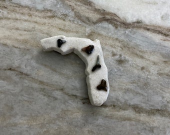 Handmade Florida Shark Tooth Magnet
