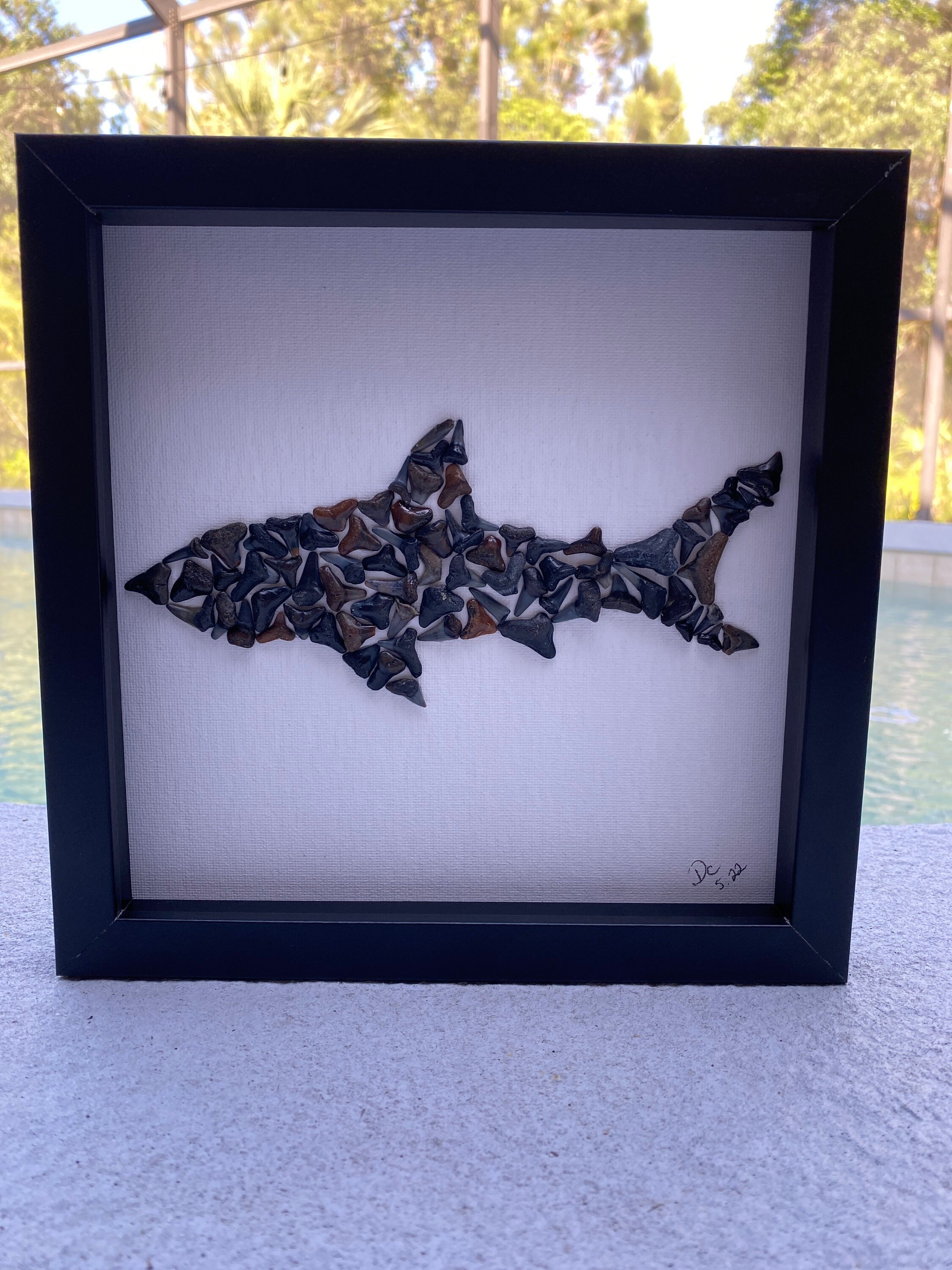 Shark Tooth Art Etsy