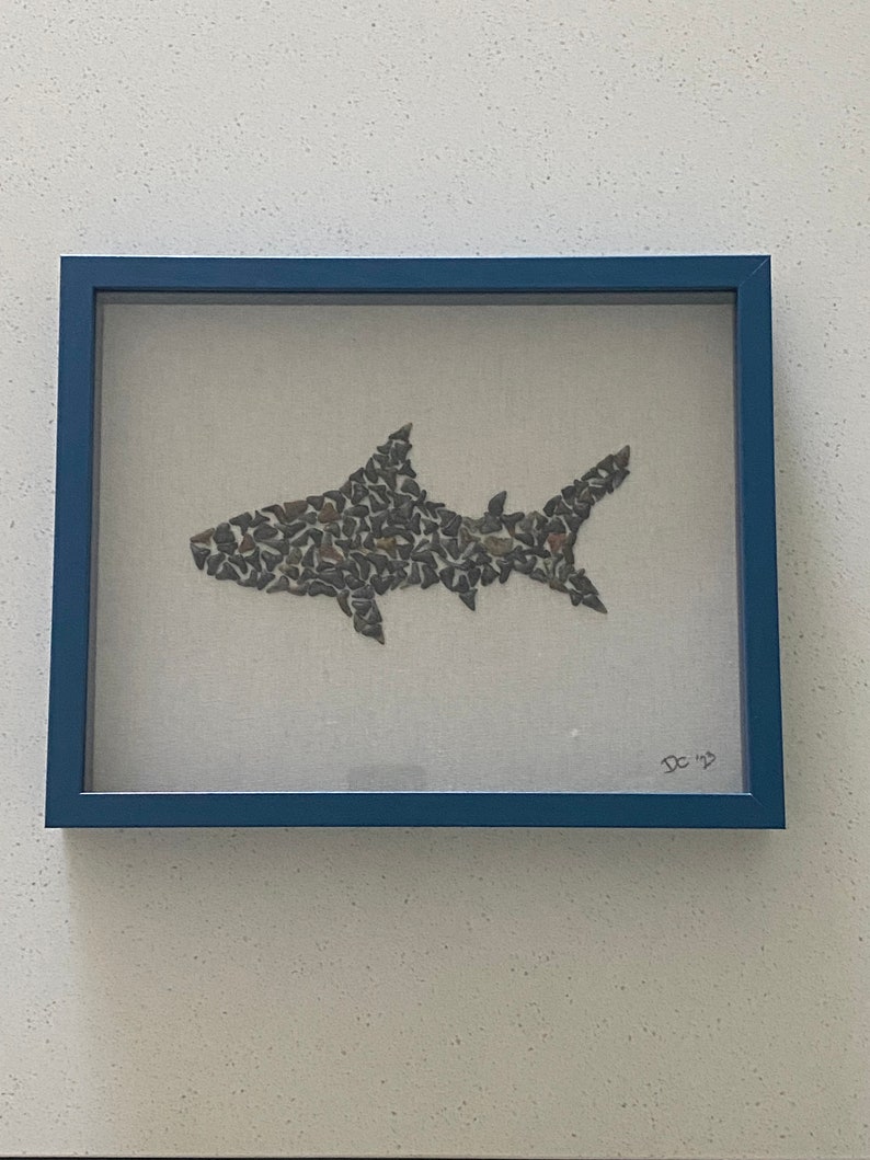 Shark Tooth Art Etsy