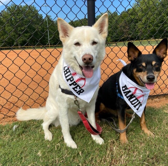 Baseball bandana for dogs discount