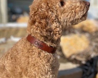 Custom Leather Dog Collar: Engraved Pet Name, Personalized Dog Gift Custom Pet Accessories Pet Name Collar