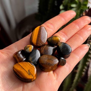 Tappi per le orecchie con gocce di occhio di tigre // Orecchini, orecchie dilatate, tunnel, orecchini, gioielli con pietre preziose, tappi con pietre preziose, pietra curativa, gioielli con pietra curativa