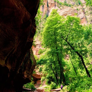 West fork, Sedona, AZ