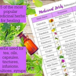 Medicinal Herbs Reference Chart, List of Herbs Printable, Herbal Printable, Herb Chart, Common ...