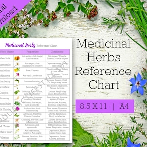 Medicinal Herbs Reference Chart, List of Herbs Printable, Herbal Printable, Herb Chart, Common Herbs Reference Sheet, Herbalism Printable