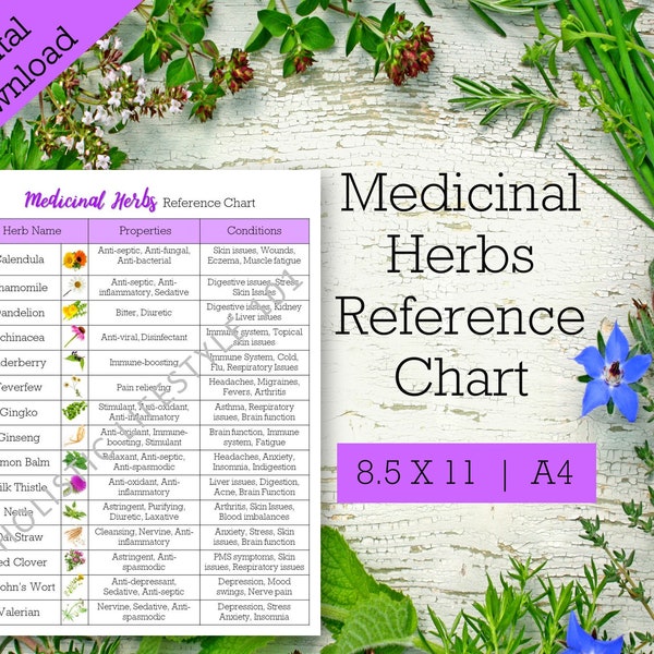 Medicinal Herbs Reference Chart, List of Herbs Printable, Herbal Printable, Herb Chart, Common Herbs Reference Sheet, Herbalism Printable