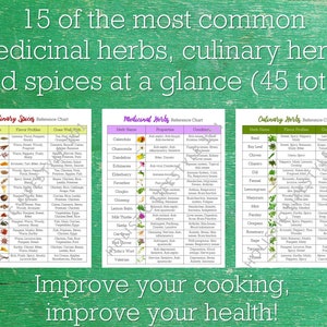 May include: A green and white chart titled "15 of the most common medicinal herbs, culinary herbs and spices at a glance (45 total)". The chart is divided into three sections: "Culinary Spices", "Medicinal Herbs", and "Culinary Herbs". Each section lists the name of the herb or spice, its flavour profile, and its uses in cooking.