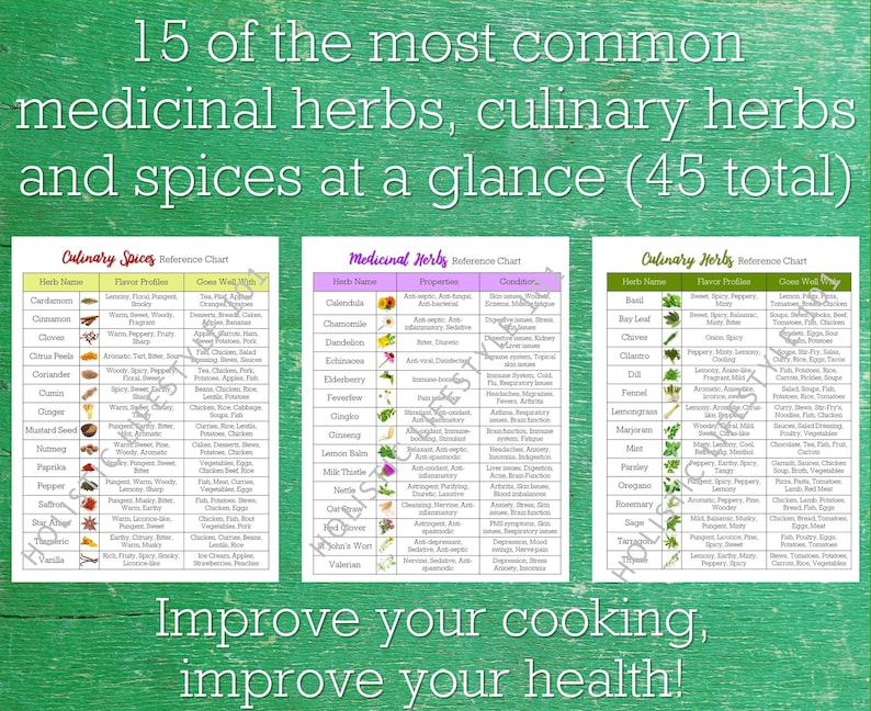 May include: A green and white chart titled "15 of the most common medicinal herbs, culinary herbs and spices at a glance (45 total)". The chart is divided into three sections: "Culinary Spices", "Medicinal Herbs", and "Culinary Herbs". Each section lists the name of the herb or spice, its flavour profile, and its uses in cooking.