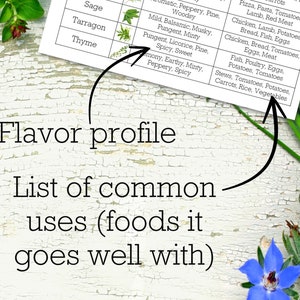 Culinary Herbs Reference Chart, Printable Herb Guide, Kitchen Herbs ...