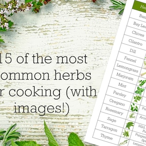 May include: A white background with a list of 15 common herbs for cooking, with images and descriptions of each herb. The herbs include basil, bay leaf, chives, coriander, dill, fennel, lemongrass, marjoram, mint, parsley, oregano, rosemary, sage, tarragon, and thyme.