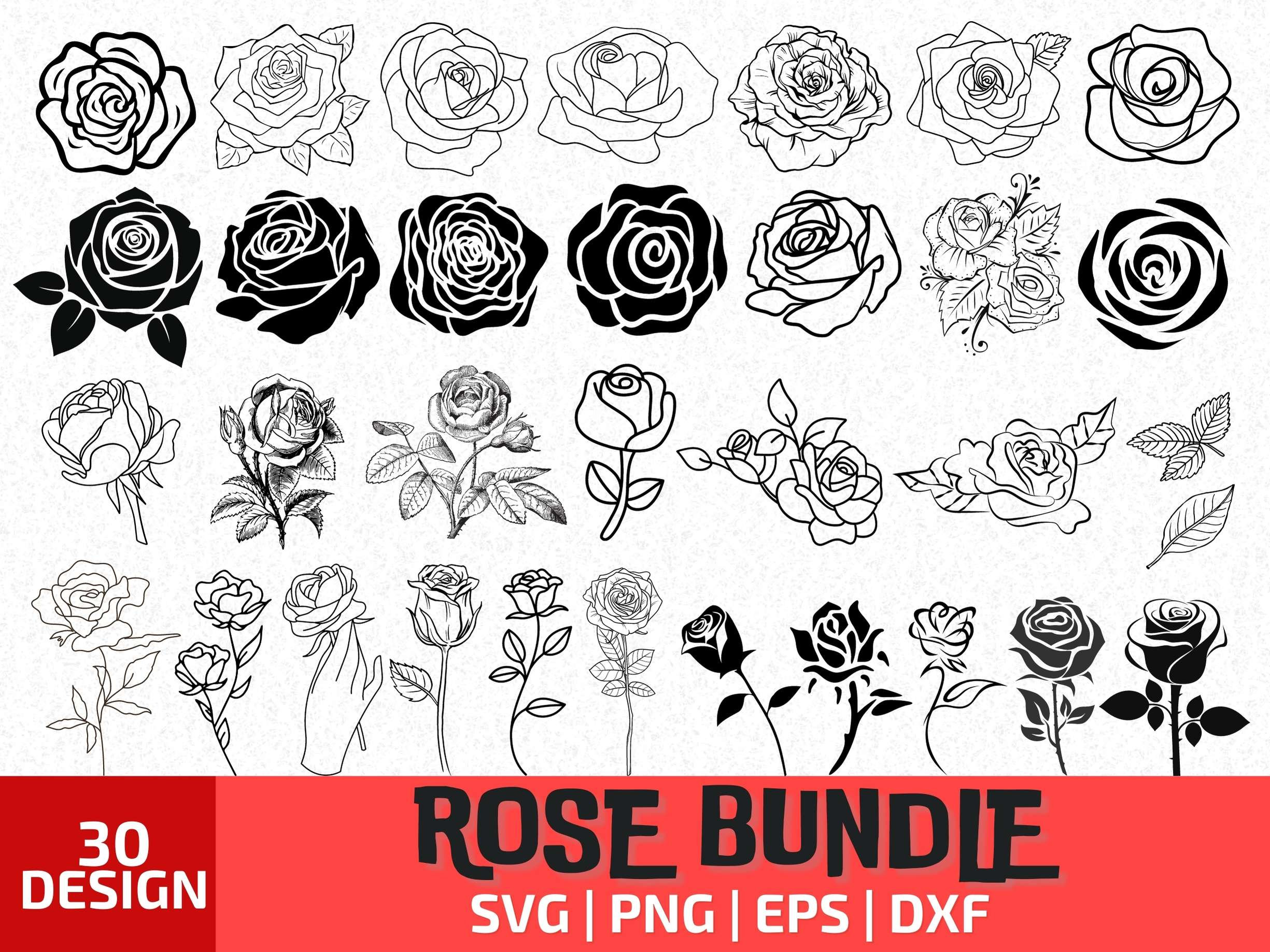 Rose Svg, Flower Svg, Rose Flower Svg, Red Rose Svg, Rose Clipart Svg, Flower Vectors, Popular