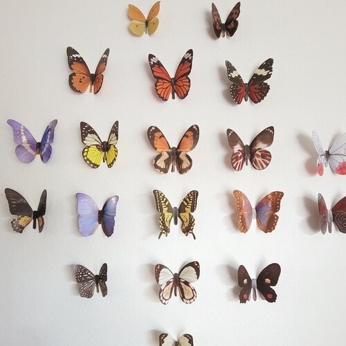 Butterfly Wall Art Vintage Butterflies Decor Butterfly Art Etsy
