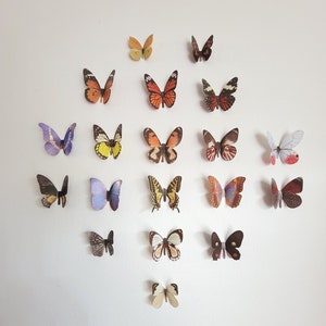 3D Butterfly Wall Decals, Vivid Home Decor Stickers (38/76pc Set)