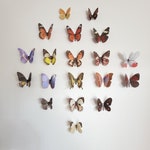 Wall Stickers