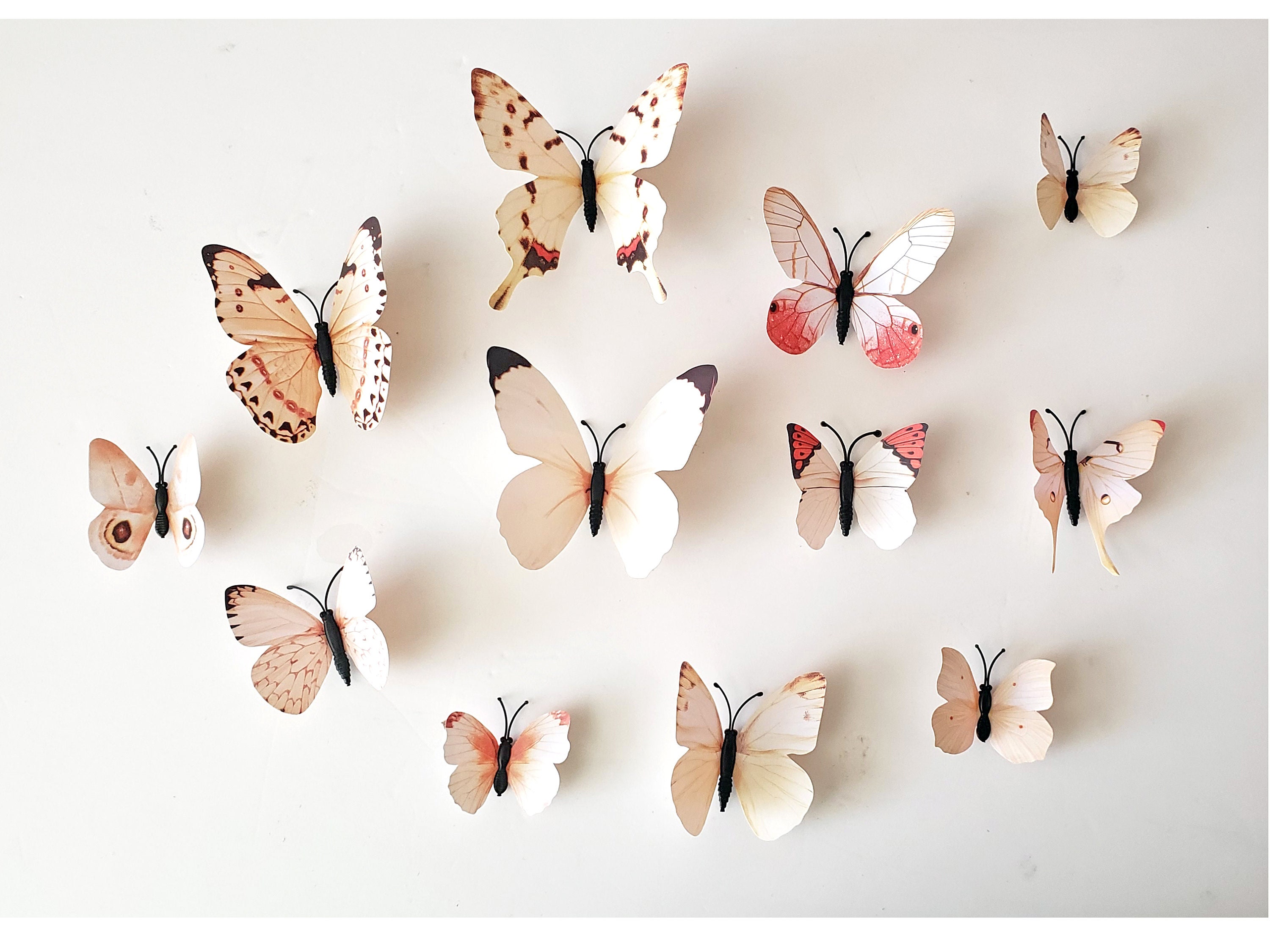 3D Butterfly Stickers, DIY Wall Decal Crafts 🦋