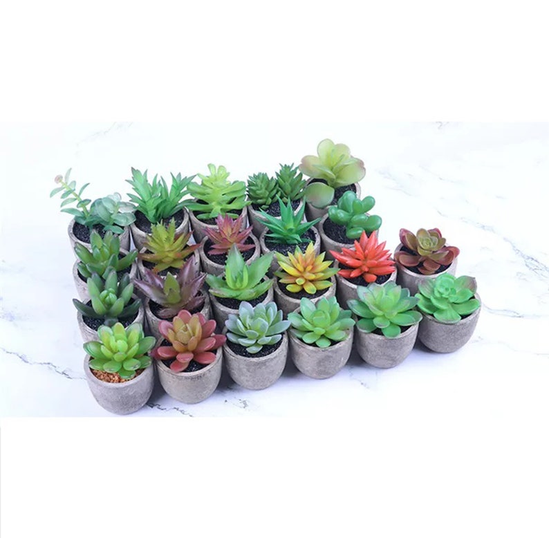 Set of 4 Fake Succulent Plants Indoor Succulent Plants Mini Etsy