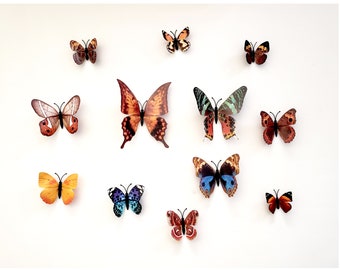 May include: Assortment of colorful butterfly wall decor. The butterflies are made of paper and have a 3D effect. They are perfect for adding a touch of whimsy to any room.