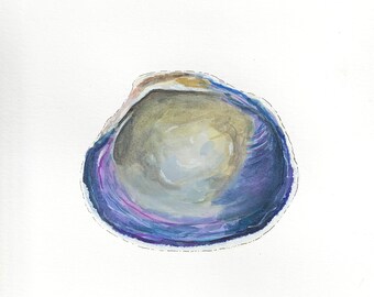 Wampum Quahog Shell Watercolor Painting