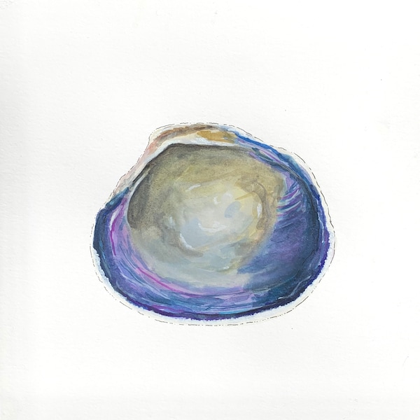 Wampum Quahog Shell Watercolor Painting