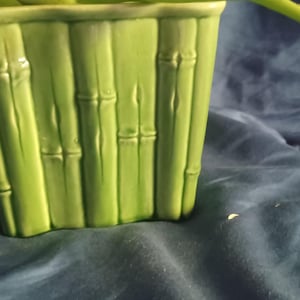 May include: A light green ceramic planter with a bamboo design. The rectangular planter has vertical lines and a textured surface, suggesting bamboo stalks. The planter is on a blue surface.