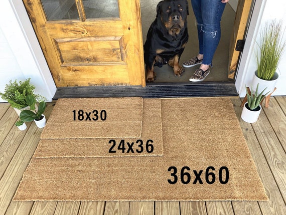 adventure awaits rug