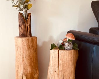 Oak tree trunk