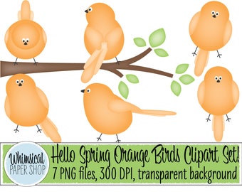 Download Orange Bird Clipart Etsy
