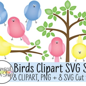 Pájaros Clipart SVG Set, lindo árbol clipart svg, lindo primavera rosa azul amarillo pájaro png svg, archivos cortados para cricut, lindo clipart de rama de árbol svg
