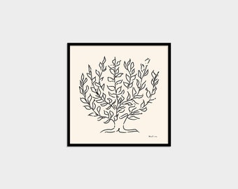 Henri Matisse Tree Le Buisson Square Poster Matisse Art Print Matisse Line Art Exhibition Picture