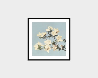 Ogawa Kazumasa Azaleas Poster Botanical Wall Hanging Vintage Japanese Art Print