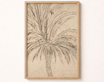 May include: A framed wall art piece featuring a charcoal-style sketch of a palm tree on a light beige background. The artwork is enclosed in a simple, light-toned wooden frame with a rectangular shape, showcasing detailed line work of palm fronds.