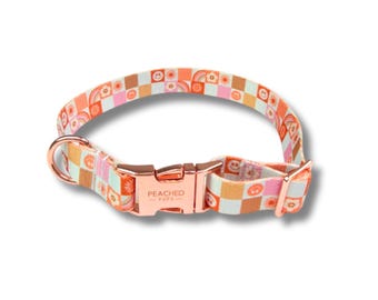 Collar para perro / Collar retro arcoíris para perro / Accesorios coloridos para perros / Collar ajustable para mascotas