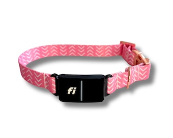 Personalisiertes, Fi-kompatibles Hundehalsband | Minimalistisches Design, Zubehör für Tracker der Serien 2/3