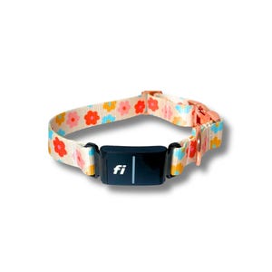 Könnte beinhalten: Ein Hundehalsband mit floralem Muster und einem schwarzen Tracker. Das Halsband hat einen cremefarbenen Hintergrund mit rosa, orangefarbenen und blauen Blumen. Der Verschluss ist roségoldfarben. Der Tracker trägt die Buchstaben "fi".