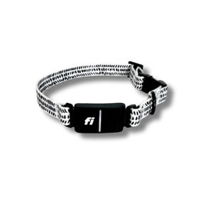 Fi Kompatibles Hundehalsband | Personalisiertes, gravierbares, besticktes Hundehalsband in Schwarz | Minimalistisches Hundehalsband | Serie 2 3 Fi Halsband