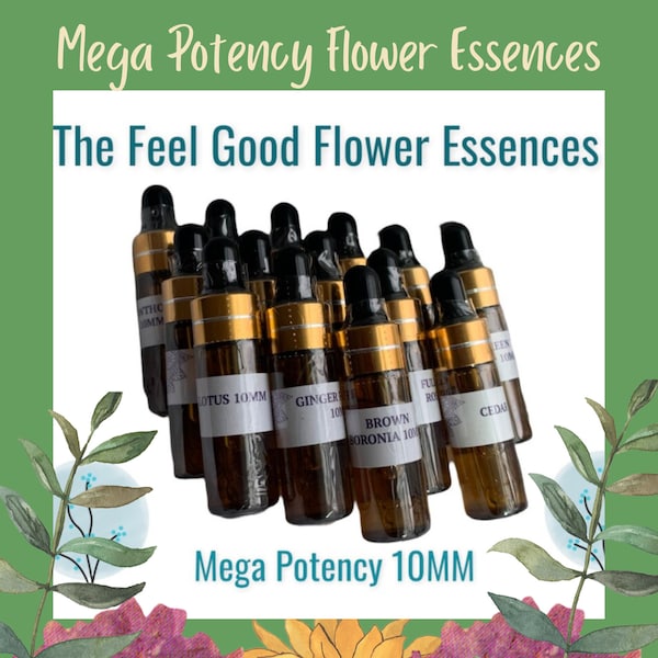 Mega Potency Flower Essences.  Feel Good Flower Essences 10MM from Jill Turland's Homeopathic Method