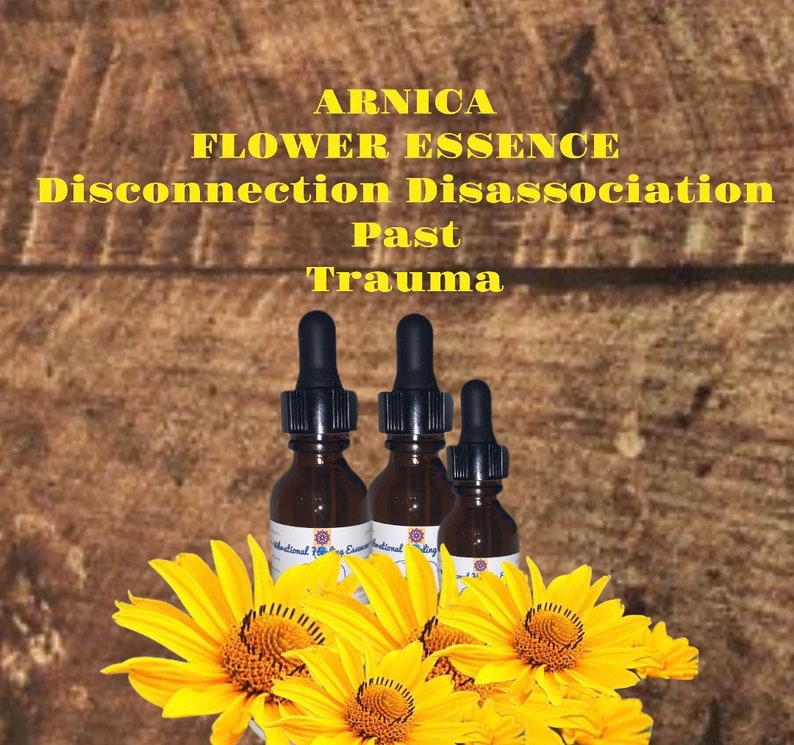 May include: Three amber glass bottles with dropper tops filled with Arnica Flower Essence. The bottles are labeled "Traditional Flower Essences". The text "Arnica Flower Essence Disconnection Disassociation Past Trauma" is displayed in yellow on a brown wooden background. Yellow sunflowers are in the foreground.