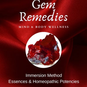 May include: Gem Remedies, Mind & Body Wellness, Immersion Method, Essences & Homeopathic Potencies, www.byholisticworks.com, a red crystal on a red satin background.