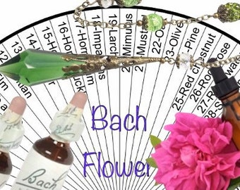 Bach Flowers Chart - Etsy